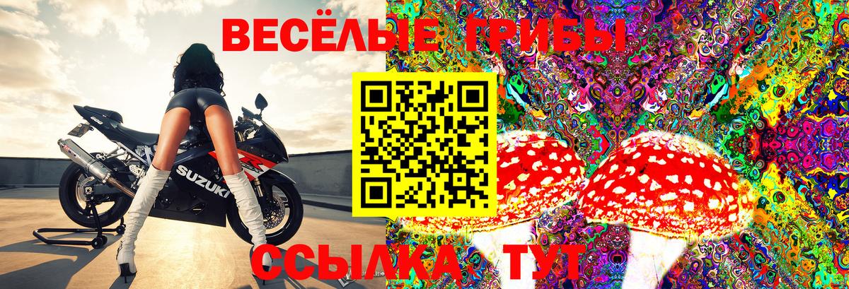 Псилоцибиновые грибы Psilocybine cubensis  Галлюциногенные грибы Psilocybe  Вход с VPN  Зеленогорск 