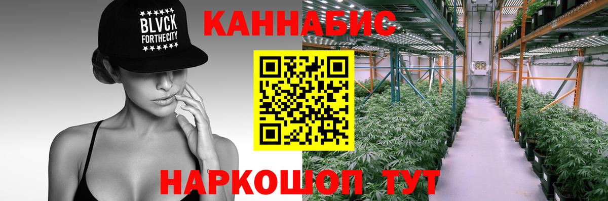 Зеленогорск  Каннабис OG Kush  Канабис SATIVA & INDICA  Каннабис конопля  Канабис план  Вход с VPN 